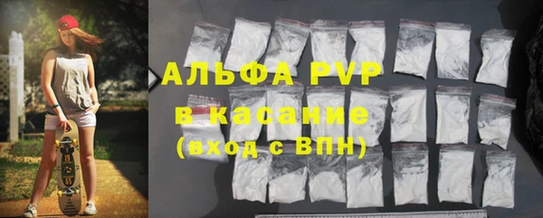 ГАЛЛЮЦИНОГЕННЫЕ ГРИБЫ Горно-Алтайск