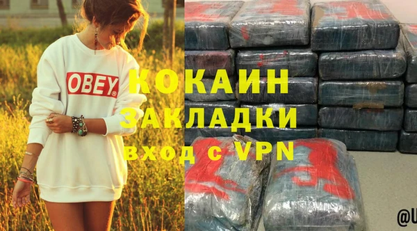 ГАЛЛЮЦИНОГЕННЫЕ ГРИБЫ Горно-Алтайск