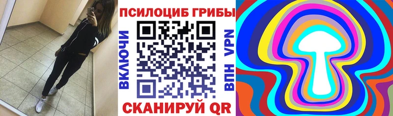 Купить  Каменск-Уральский  Галлюциногенные грибы Psilocybe 