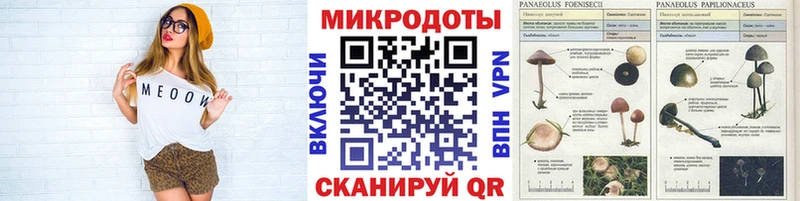 Галлюциногенные грибы Magic Shrooms Каменск-Уральский